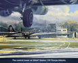100th Bomb Group B-17 art print 