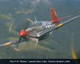 Charles McGee's P-51 Mustang Kitten 