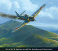A Japanese Zero shot down by Pappy Boyington