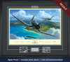 Pappy Boyington F4U Corsair art