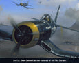 Falcons Over Iwo by Gareth Hector